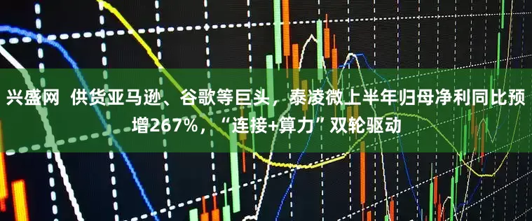 兴盛网  供货亚马逊、谷歌等巨头，泰凌微上半年归母净利同比预增267%，“连接+算力”双轮驱动